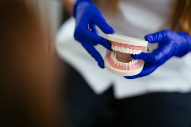 Best Dental Exams and Cleanings  in Parma, OH